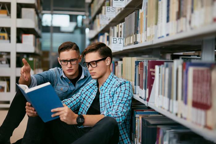 解析动物医学《福建畜牧兽医》期刊杂志：介绍及论文发表投稿指南