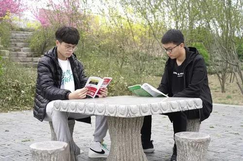 赛场运动训练健康心理学社会文化《新体育》期刊：发表论文投征稿